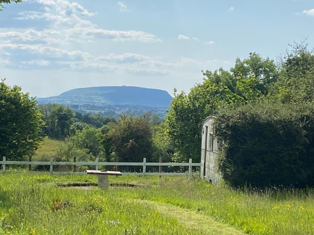 Clover Cottage Sligo Esterno foto