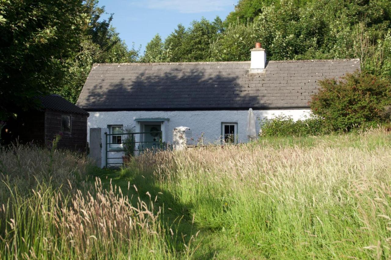 Clover Cottage Sligo Esterno foto