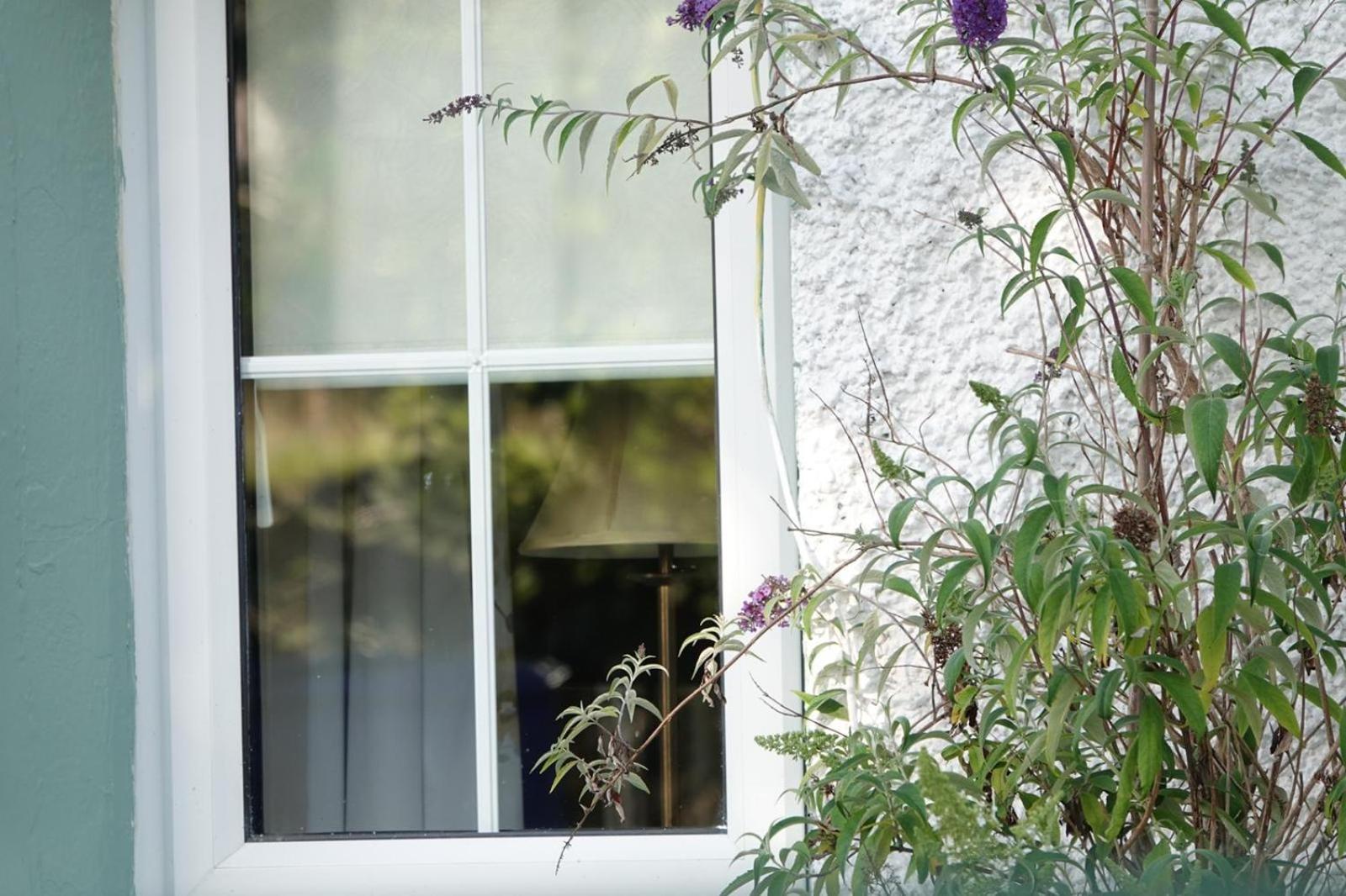 Clover Cottage Sligo Esterno foto